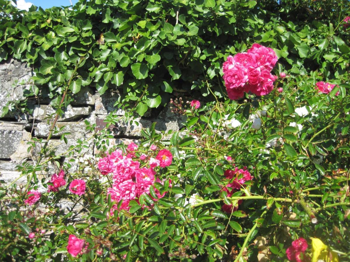 Colebrook Cottage Isle of Whithorn Exterior photo